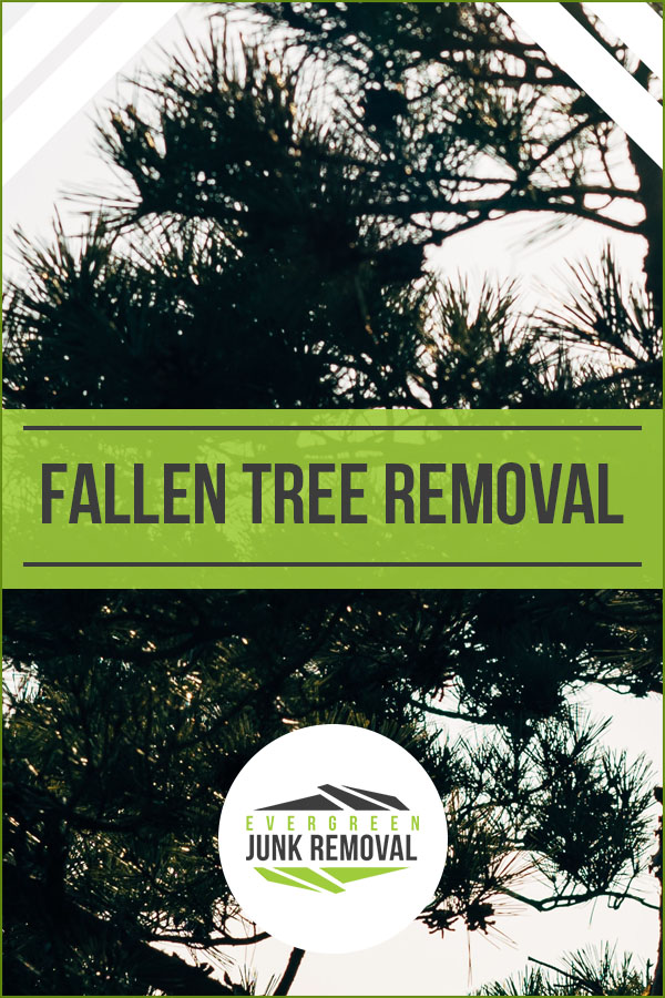 Fallen Tree Removal Service