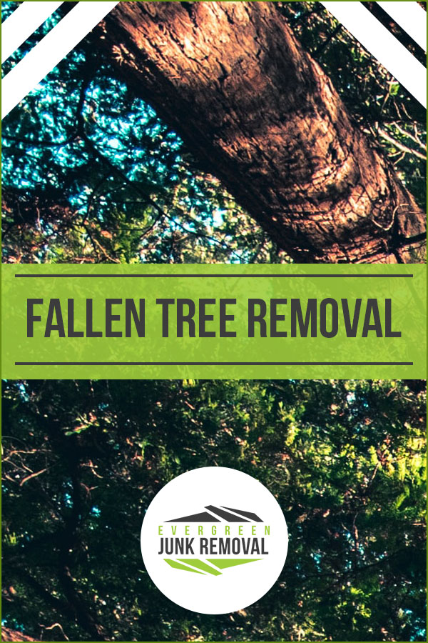 Fallen Tree Removal Fallen Tree Removal